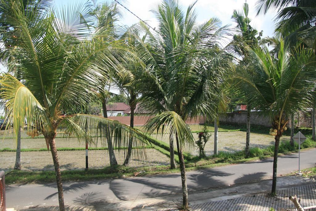 Hotel Gusti Rai House Ubud Zewnętrze zdjęcie